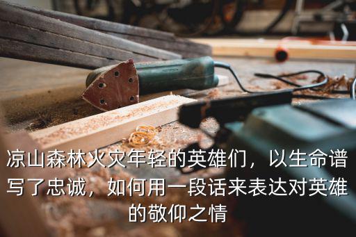 涼山救火英雄江西哪里的,涼山森林火災年輕的英雄們