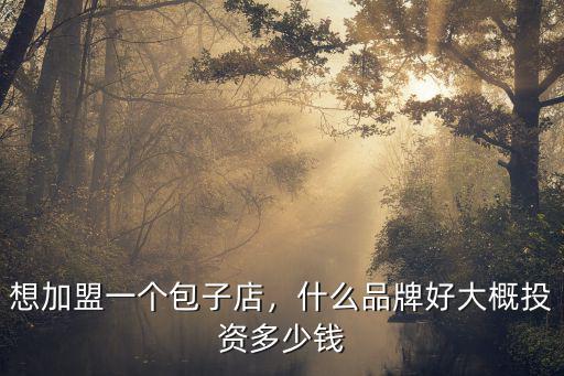 想加盟一個包子店，什么品牌好大概投資多少錢