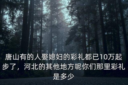 保定給女方的彩禮多少,河北保定的彩禮都是怎么給的