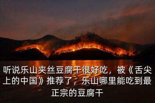 樂(lè)山三角豆腐干哪里有,聽(tīng)說(shuō)樂(lè)山夾絲豆腐干很好吃