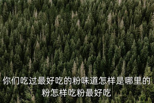 四川哪里粉最好吃,你們吃過最好吃的粉味道怎樣