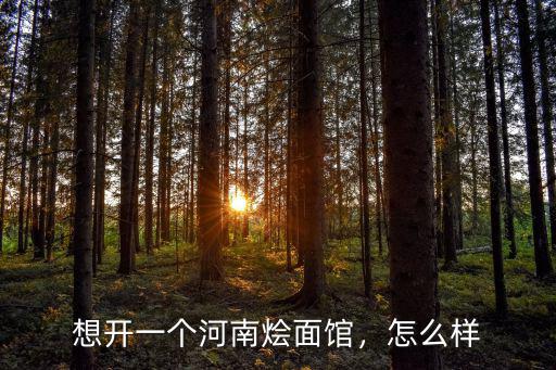 武漢燴面館怎么樣,在武漢開家燴面館怎么樣