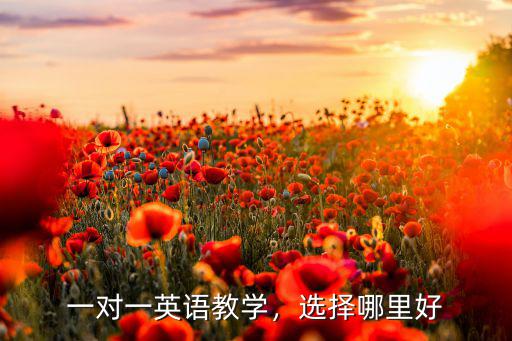 一對一英語教學，選擇哪里好