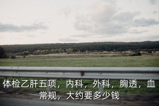 石家莊乙肝胸透體檢多少錢,體檢乙肝五項