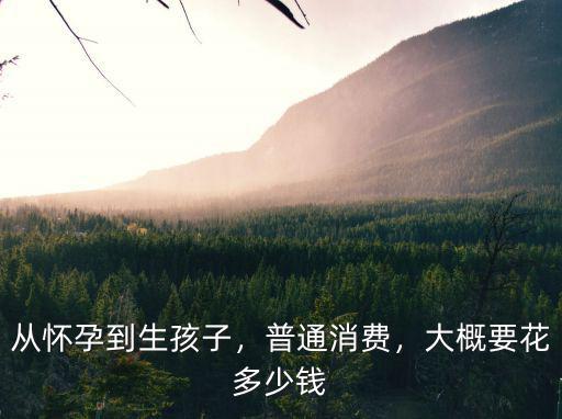 石家莊懷孕生孩子大概花多少,從懷孕到生孩子
