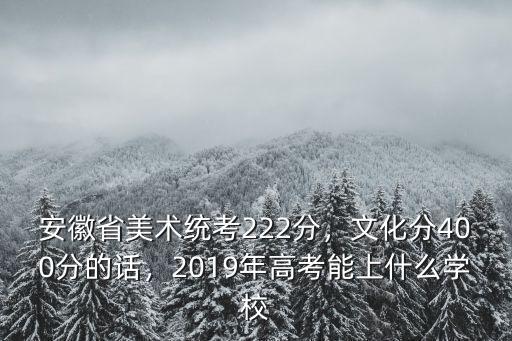 安徽省美術統考222分，文化分400分的話，2019年高考能上什么學校
