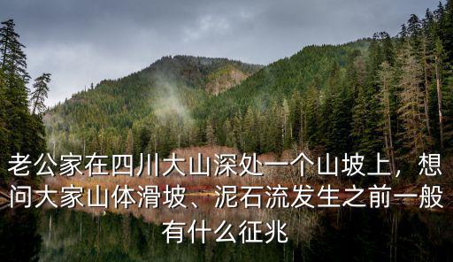 6月四川發生山體滑坡是哪里,浦北縣發生山體滑坡