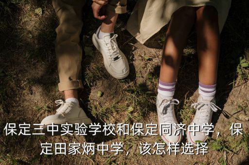 保定三中升學(xué)率是多少,保定田家炳中學(xué)