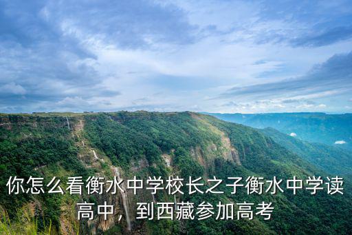 衡水中學校長之子西藏高考考了多少分,衡水校長送兒子到西藏高考