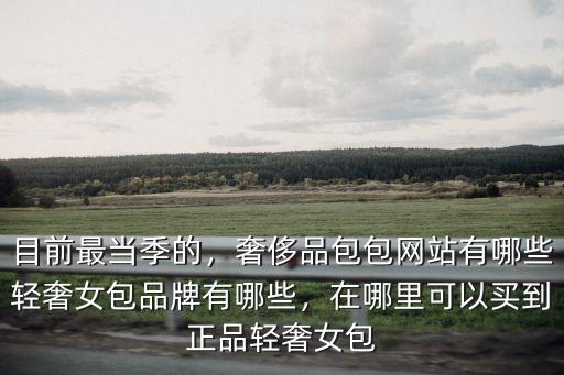 在德陽(yáng)哪里可以買(mǎi)到品牌女包,輕奢女包品牌有哪些