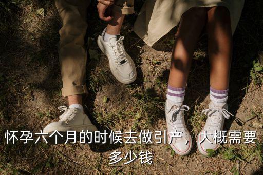 懷孕六個(gè)月的時(shí)候去做引產(chǎn)，大概需要多少錢