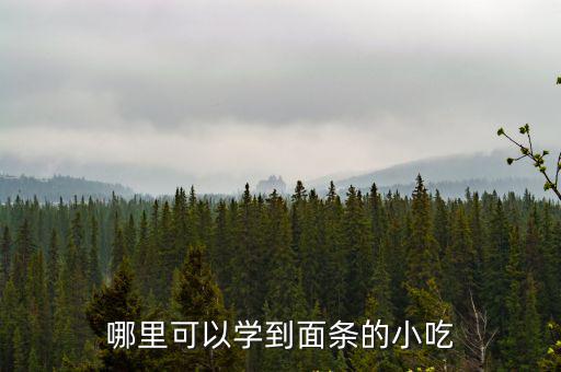 小吃面館去成都哪里學,學面條去成都新東方可以不呀