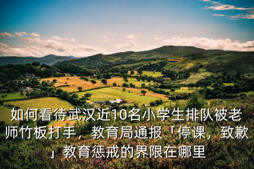 如何看待武漢近10名小學生排隊被老師竹板打手，教育局通報「停課，致歉」教育懲戒的界限在哪里