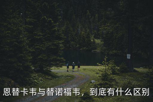 滄州恩替卡韋分散片價格是多少,恩替卡韋價格多少