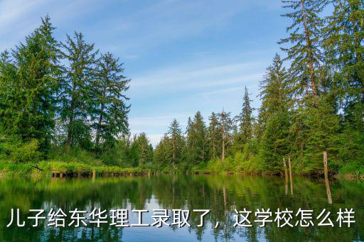 武漢洪都學校怎么樣,這學校怎么樣