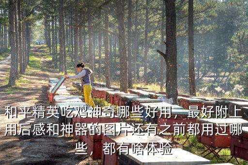 綿陽哪里有吃雞神器,吃雞神器有哪些