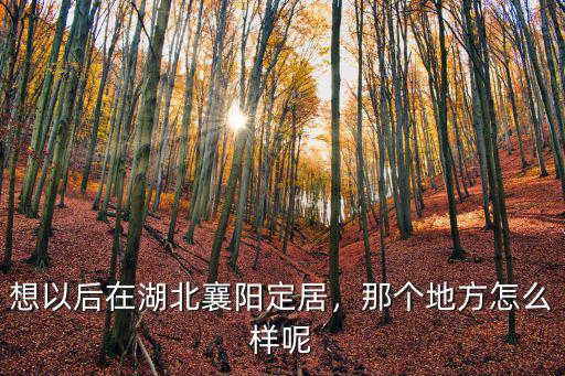 湖北襄陽敢死隊怎么樣,湖北襄陽的發展怎么樣