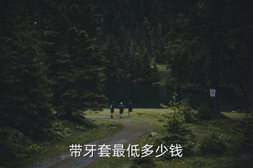 帶牙套最低多少錢