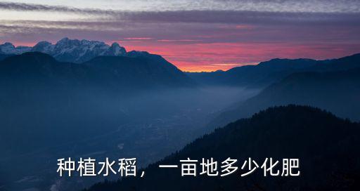 種植水稻，一畝地多少化肥