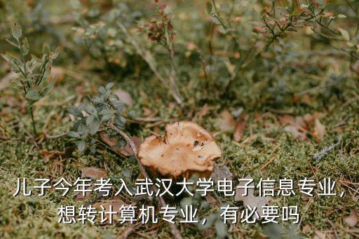 武漢大學(xué)-電子信息學(xué)院怎么樣,武漢大學(xué)電子信息專業(yè)怎么樣