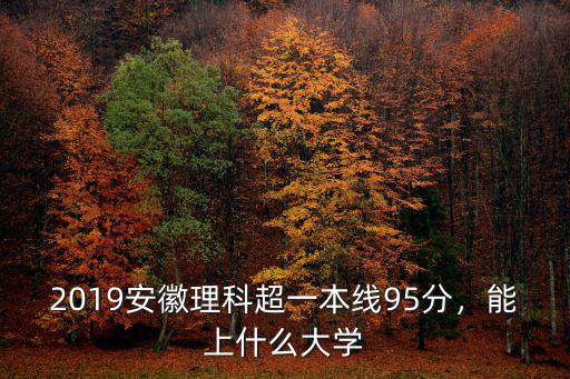 2019安徽理科超一本線95分，能上什么大學