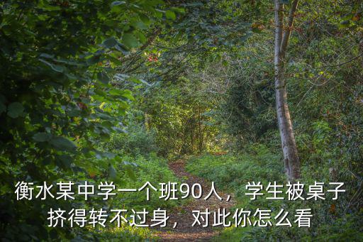 衡水順平中學一個班多少人,衡水某中學一個班90人