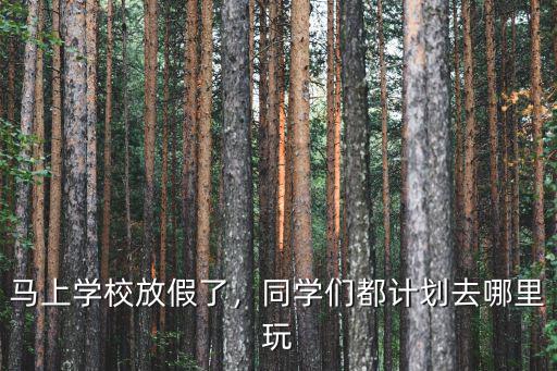 馬上學(xué)校放假了，同學(xué)們都計(jì)劃去哪里玩