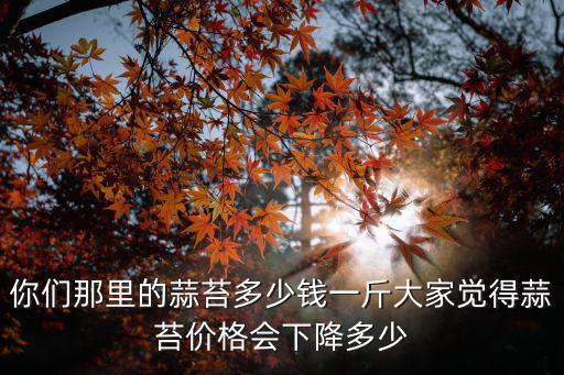 河北最便宜蒜苔多少錢一斤,蒜苔的價格多少錢一斤