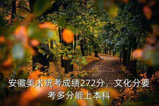 藝考生文化課成績多少能上本科安徽,文化分要考多分能上本科