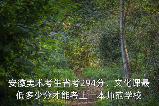 安徽美術考生省考294分，文化課最低多少分才能考上一本師范學校