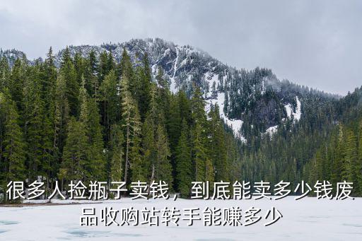 很多人撿瓶子賣錢，到底能賣多少錢廢品收購站轉手能賺多少