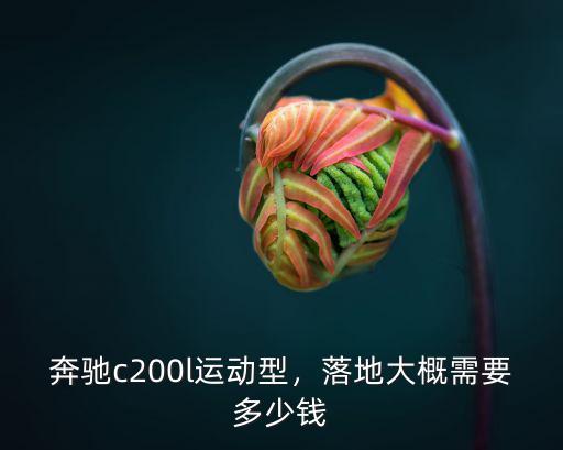 奔馳c200l運動型，落地大概需要多少錢