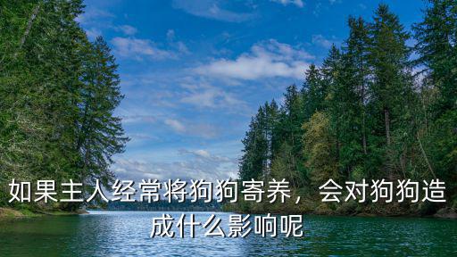 眉山寄養狗狗在哪里,如果主人經常將狗狗寄養