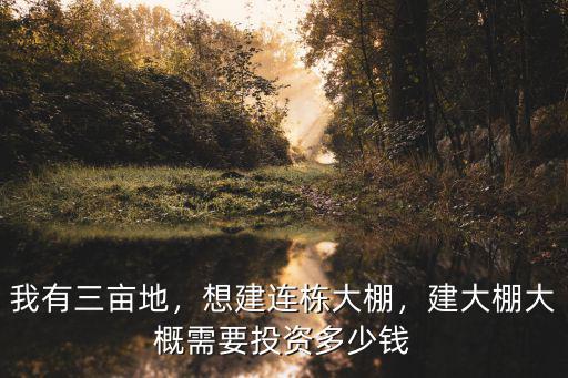 蕪湖連棟溫室大棚多少錢一平,建大棚大概需要投資多少錢