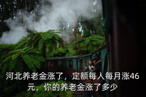 河北養(yǎng)老金漲了，定額每人每月漲46元，你的養(yǎng)老金漲了多少