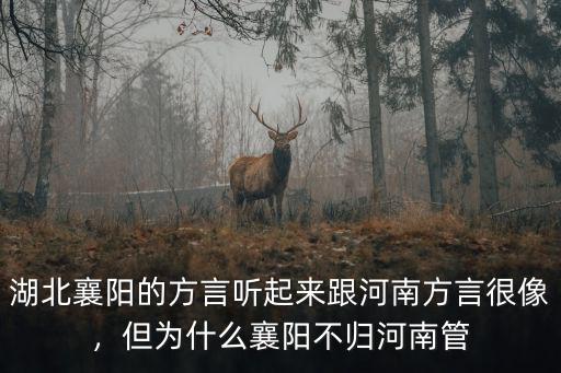 河南襄陽話怎么說,襄陽人為什么說河南話