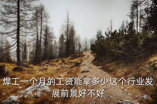 焊工一個月的工資能拿多少這個行業(yè)發(fā)展前景好不好
