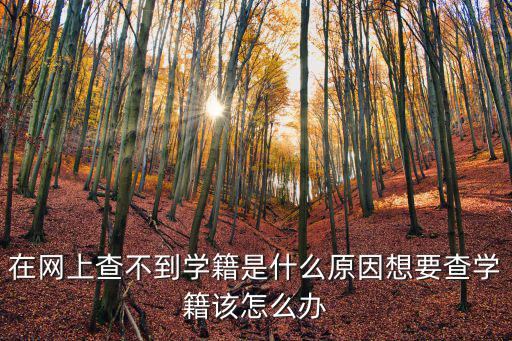 鄭州中專學籍怎么查詢,想要查學籍該怎么辦