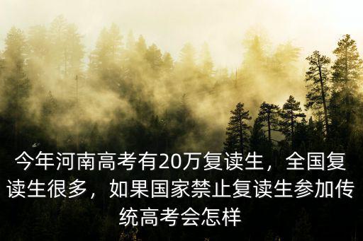 安徽今年復(fù)讀生有多少人,今年河南高考有20萬復(fù)讀生