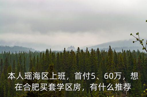 本人瑤海區(qū)上班，首付5、60萬，想在合肥買套學(xué)區(qū)房，有什么推薦