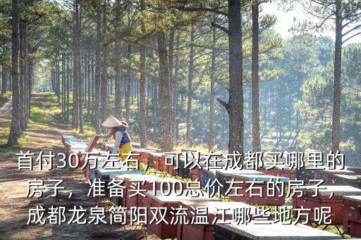 成都雙流房子哪里近地鐵口,可以在成都買哪里的房子