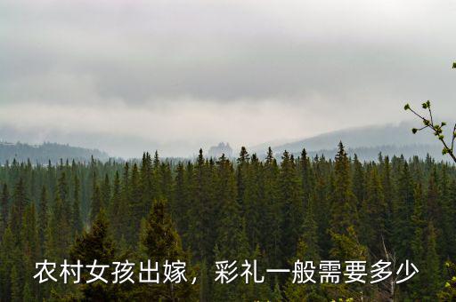六安結婚彩禮一般多少錢,六安農村結婚彩禮大概多少錢