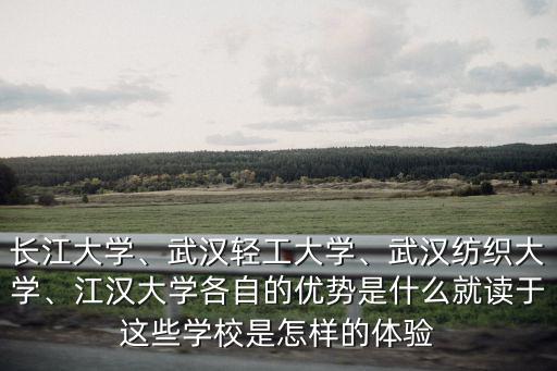 怎么申請武漢紡織大學的郵箱,武漢紡織大學
