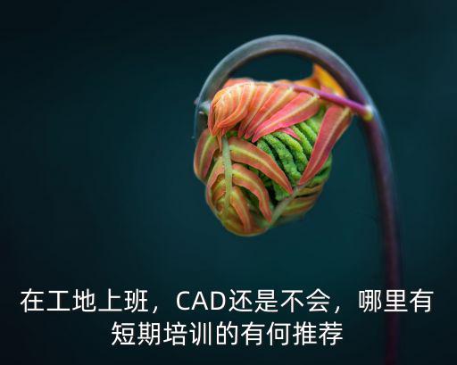 德陽哪里有cad培訓,德陽技能培訓有哪些