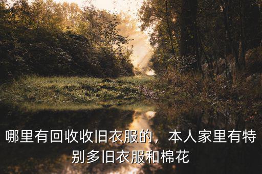 巴中哪里有回收舊衣服的,回收的舊衣服去了哪里