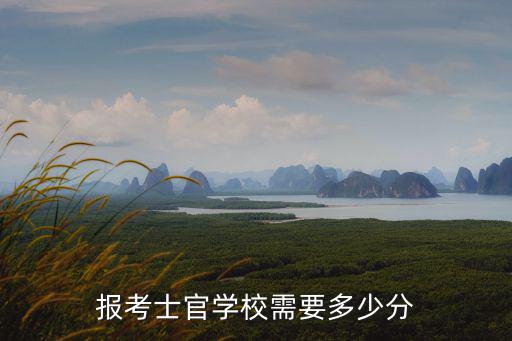 安徽士官培養多少分,報考士官學校需要多少分