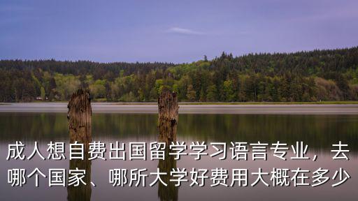 河北語(yǔ)言大學(xué)出國(guó)生活費(fèi)多少,送孩子出國(guó)上學(xué)花多少錢(qián)