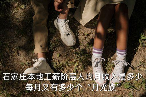 石家莊人均年收入是多少,石家莊平均工資多少