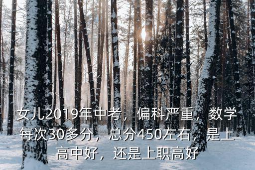 安慶宿松2019年6月中考總分是多少,總分450左右