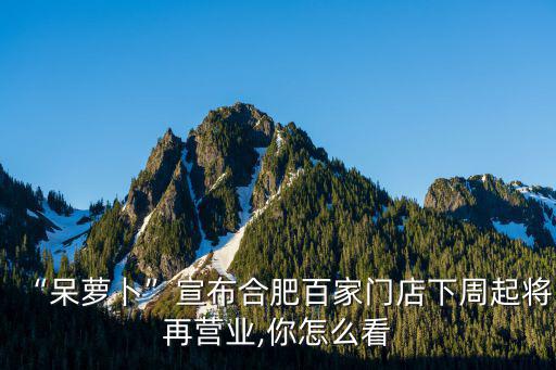 呆蘿卜在合肥多少個(gè)店,合肥呆蘿卜大規(guī)模關(guān)店
